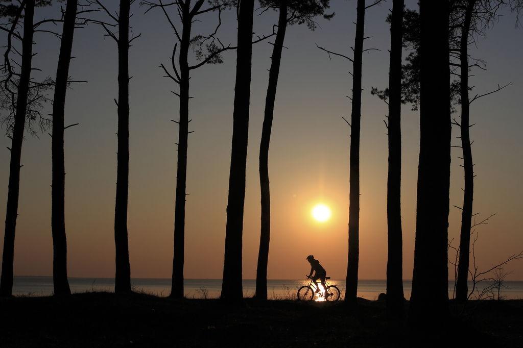 A day of cycling to the Lahemaa National Park