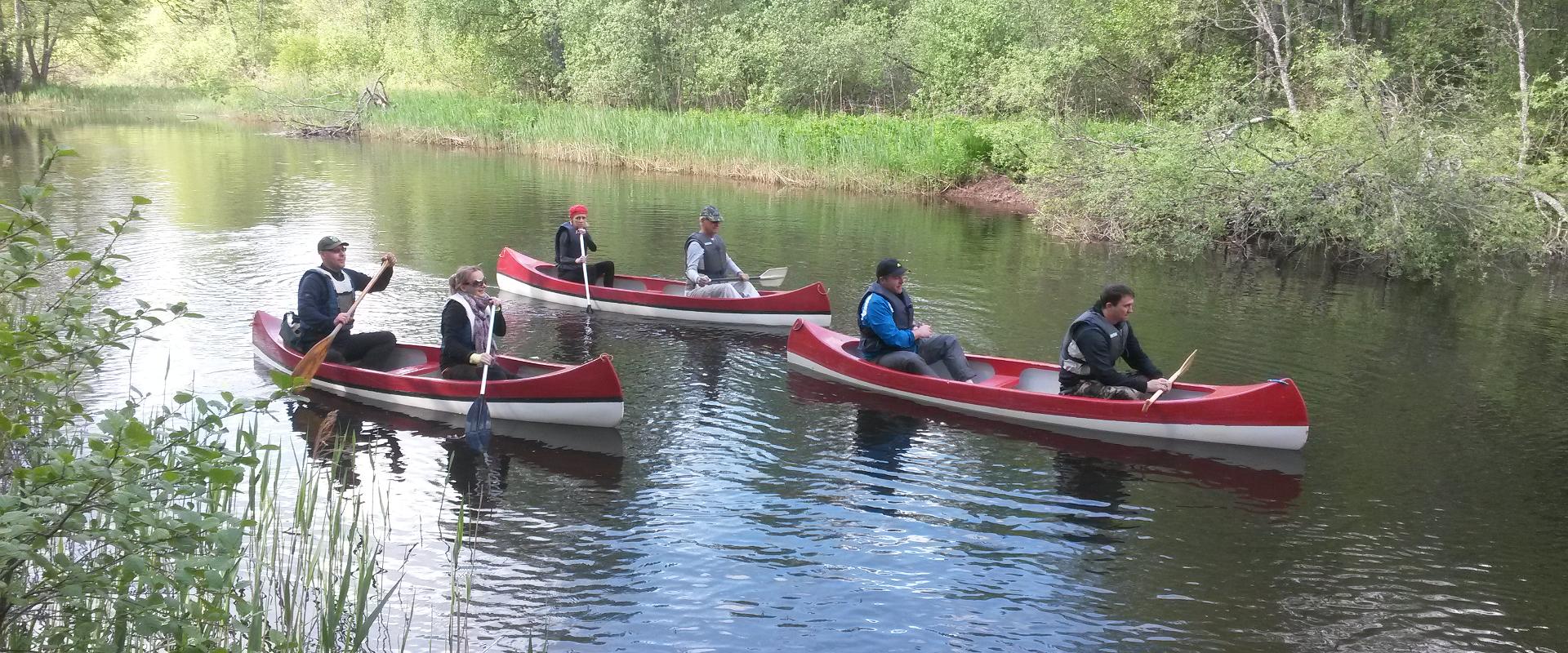 Kanutouren auf dem Fluss Valgejõgi