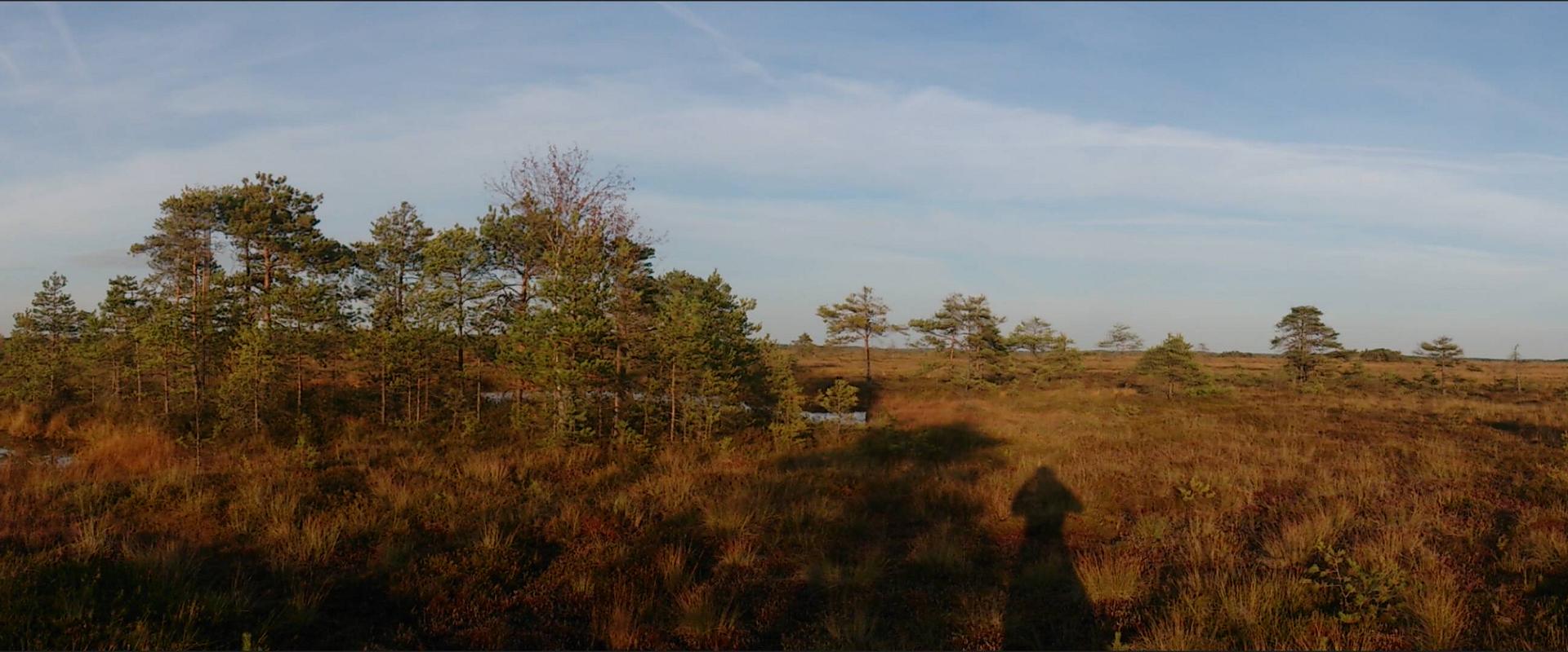 Kanuu.ee Moorshuhwanderung im Moor Rääma