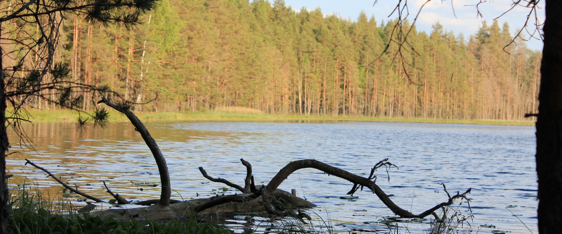 `Mustjärv` lake in Nohipalu