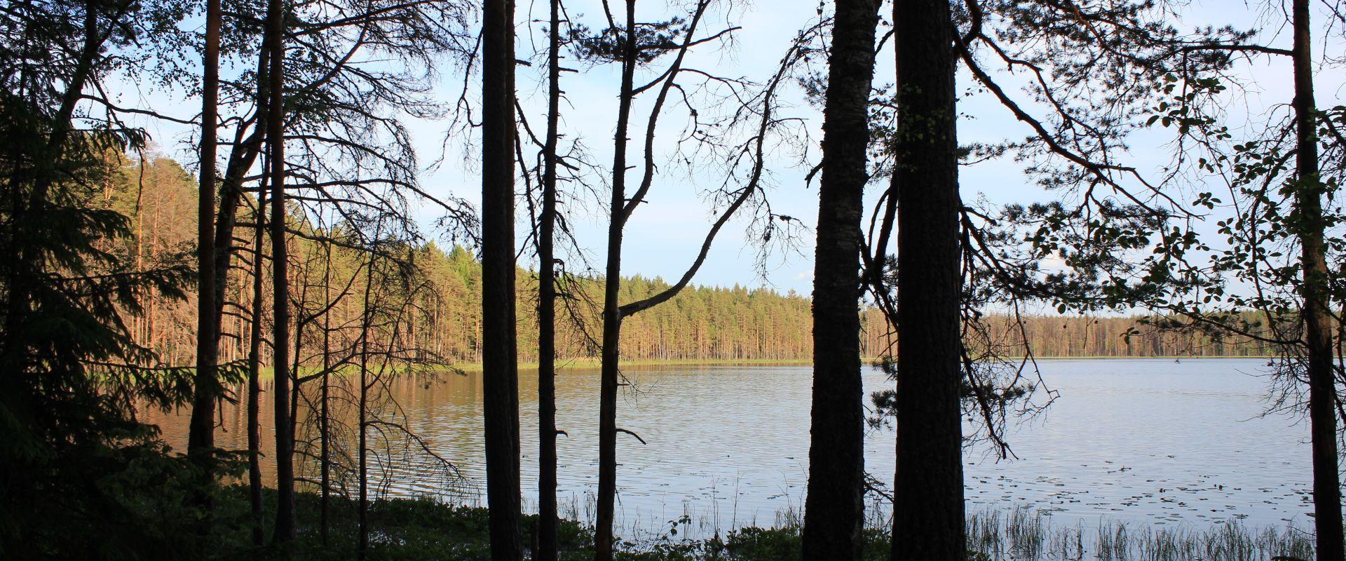 `Mustjärv` lake in Nohipalu