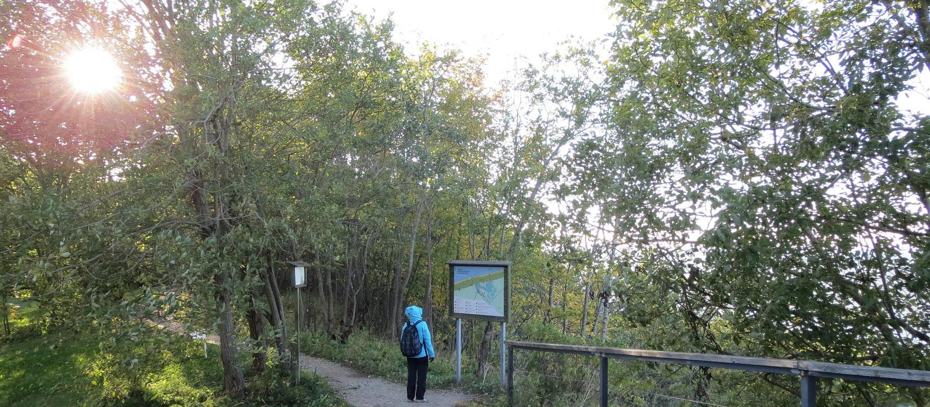 Saka Klindimõisa hiking trail