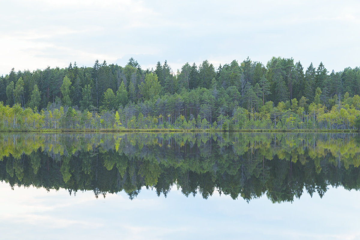 Oandu - Ikla matkatee