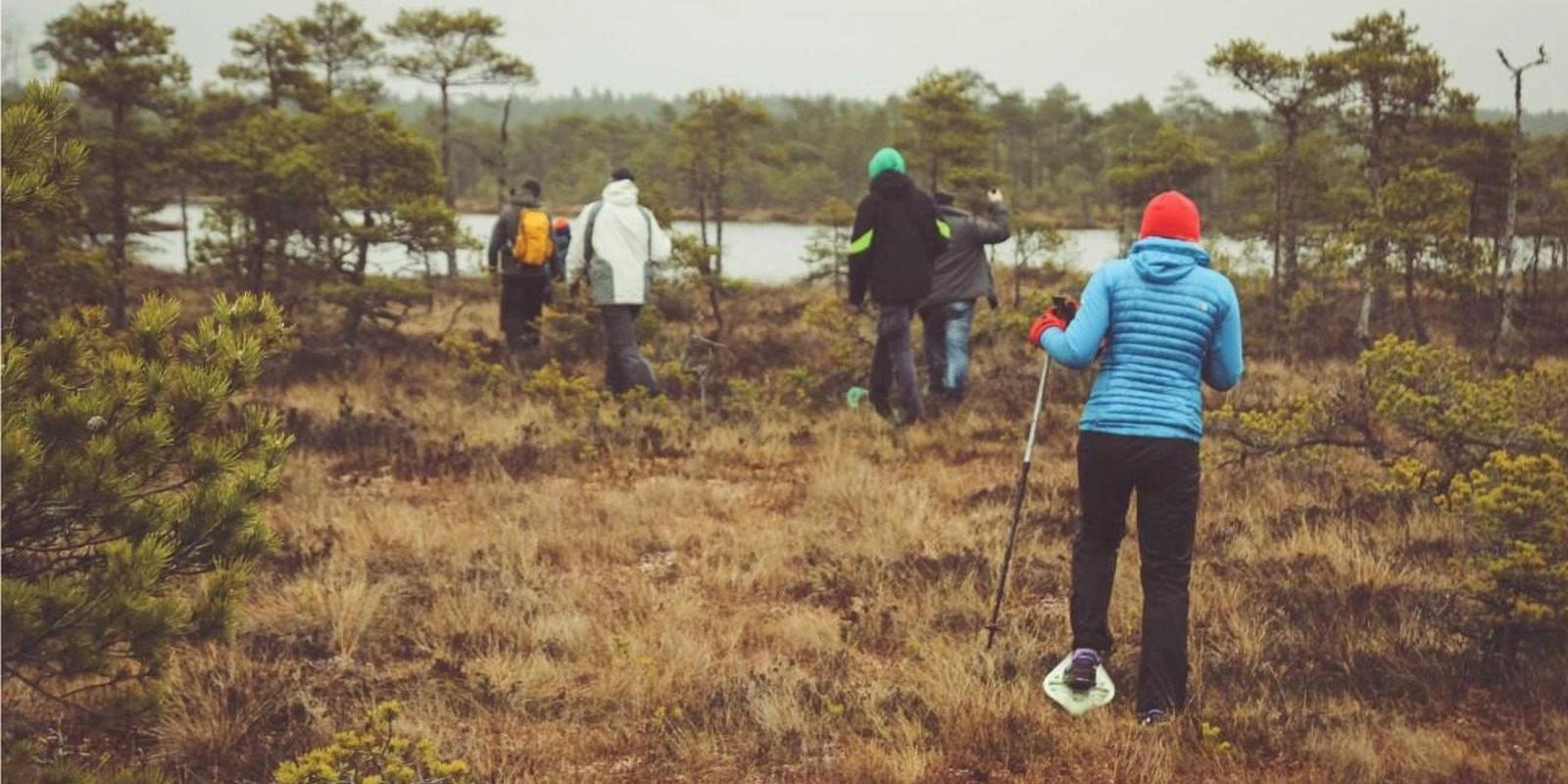 Moorschuhwanderungen im Hochmoor Meenikunno in Südestland