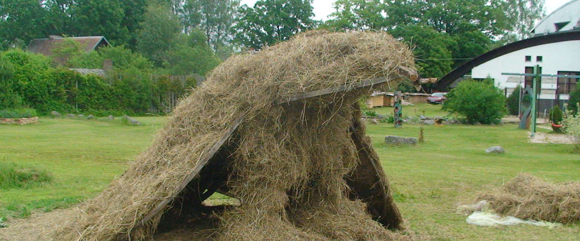 Brīvdienu māja Tammekännu