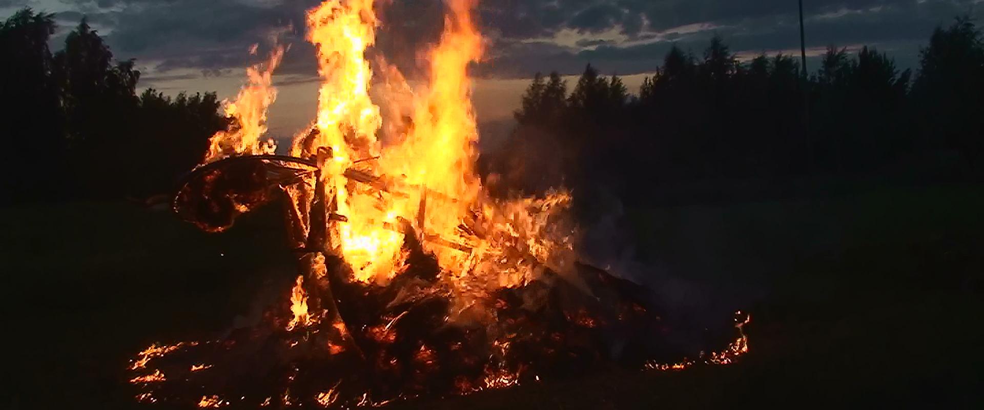 Ferienhaus Tammekännu