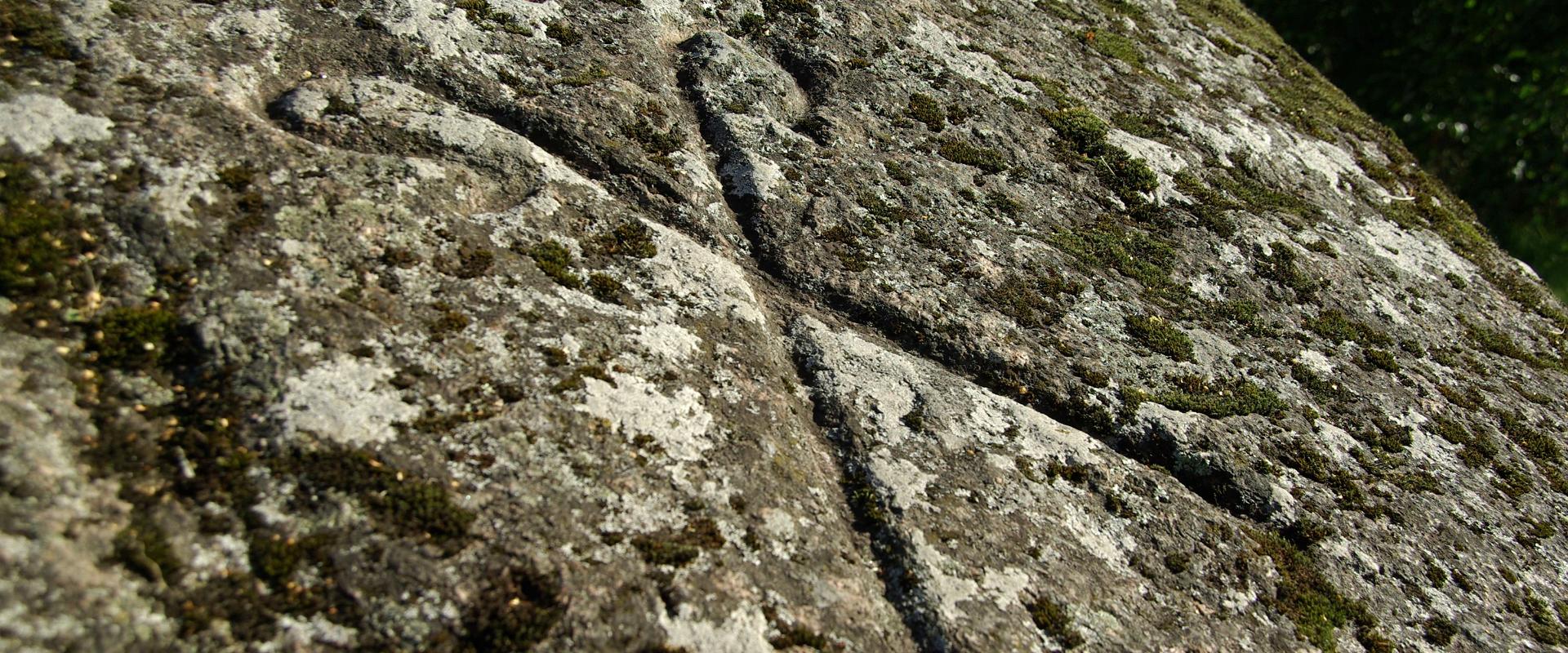 Der Stein Lauritsakivi in Kuusalu