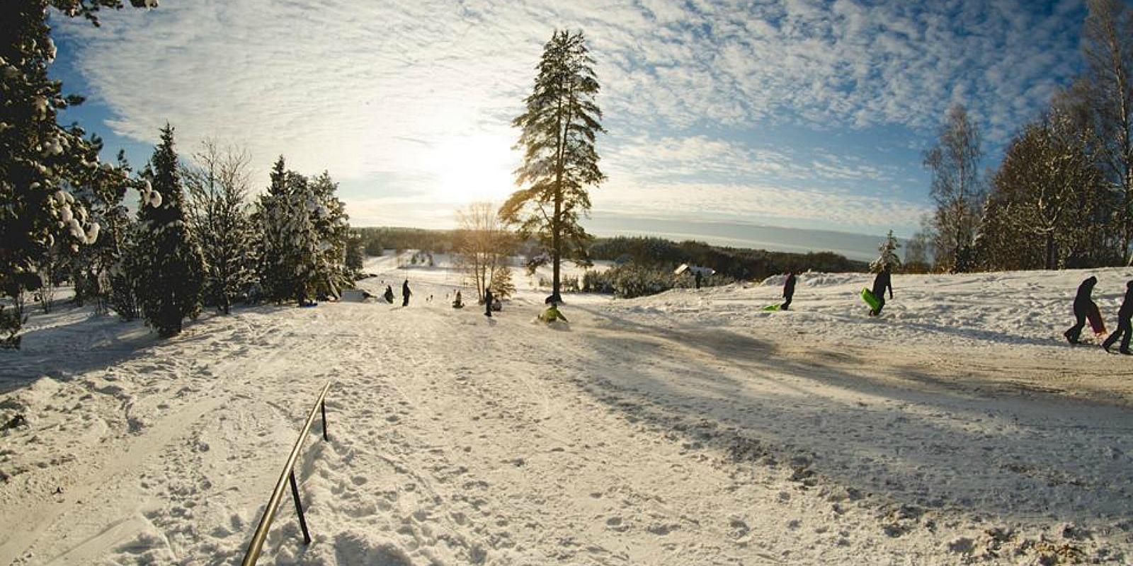 Paluküla Hiiemäe terviserajad Raplamaal