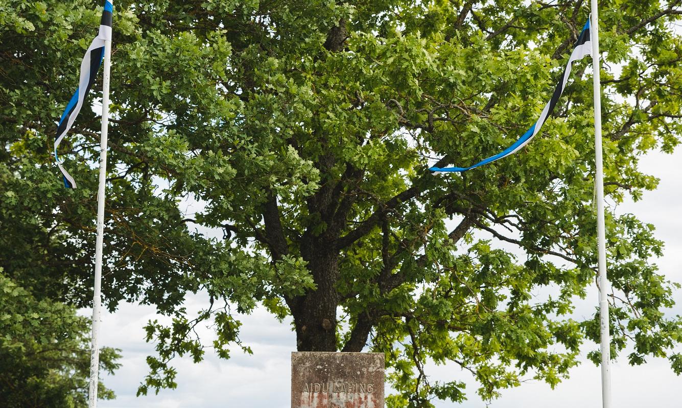 Aidu Võidualtar