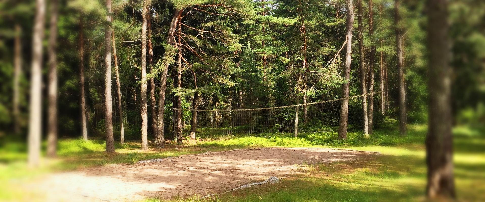 Merikotka puhkemajad Naissaarel