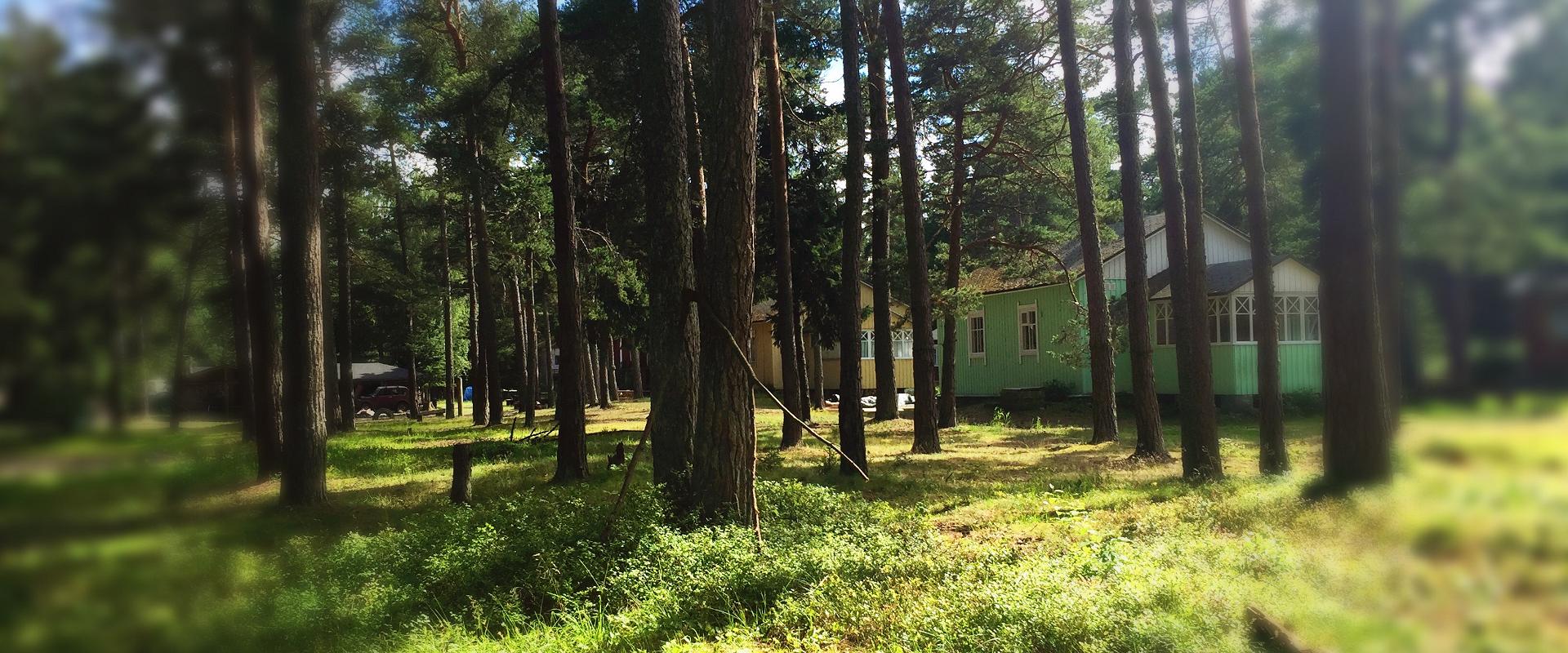 Merikotka puhkemajad Naissaarel