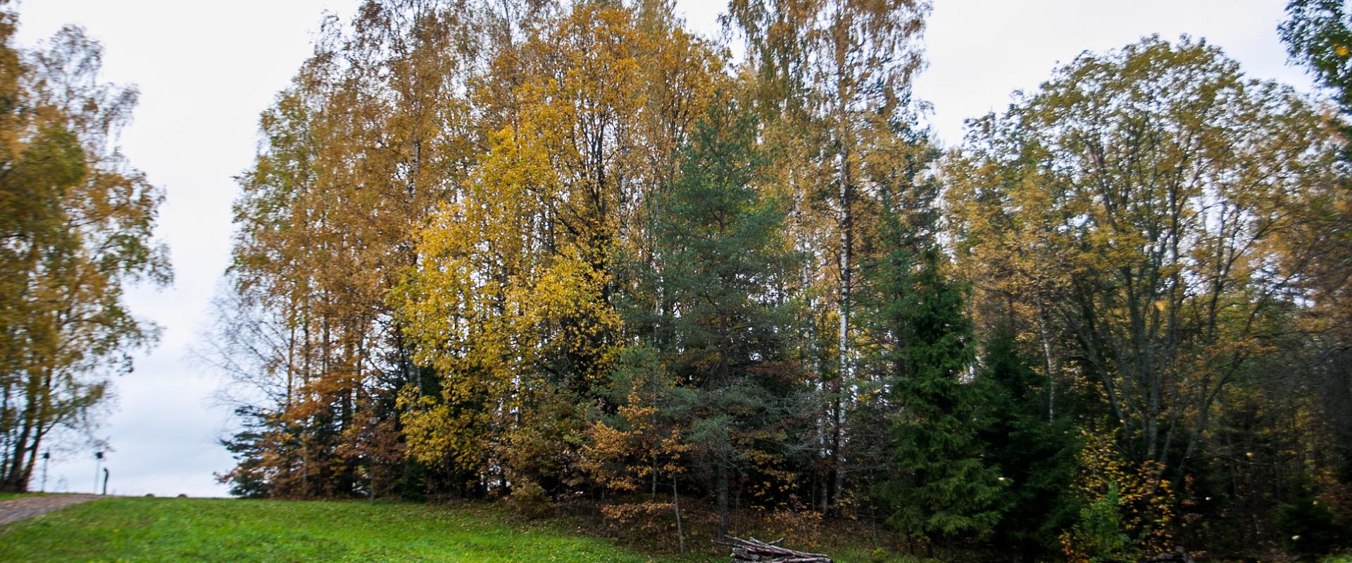 Allikukivi koopad
