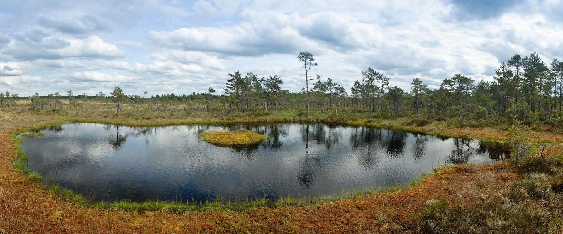 RMK Jalase nature trail in the Jalase landscape protection area in Rapla County