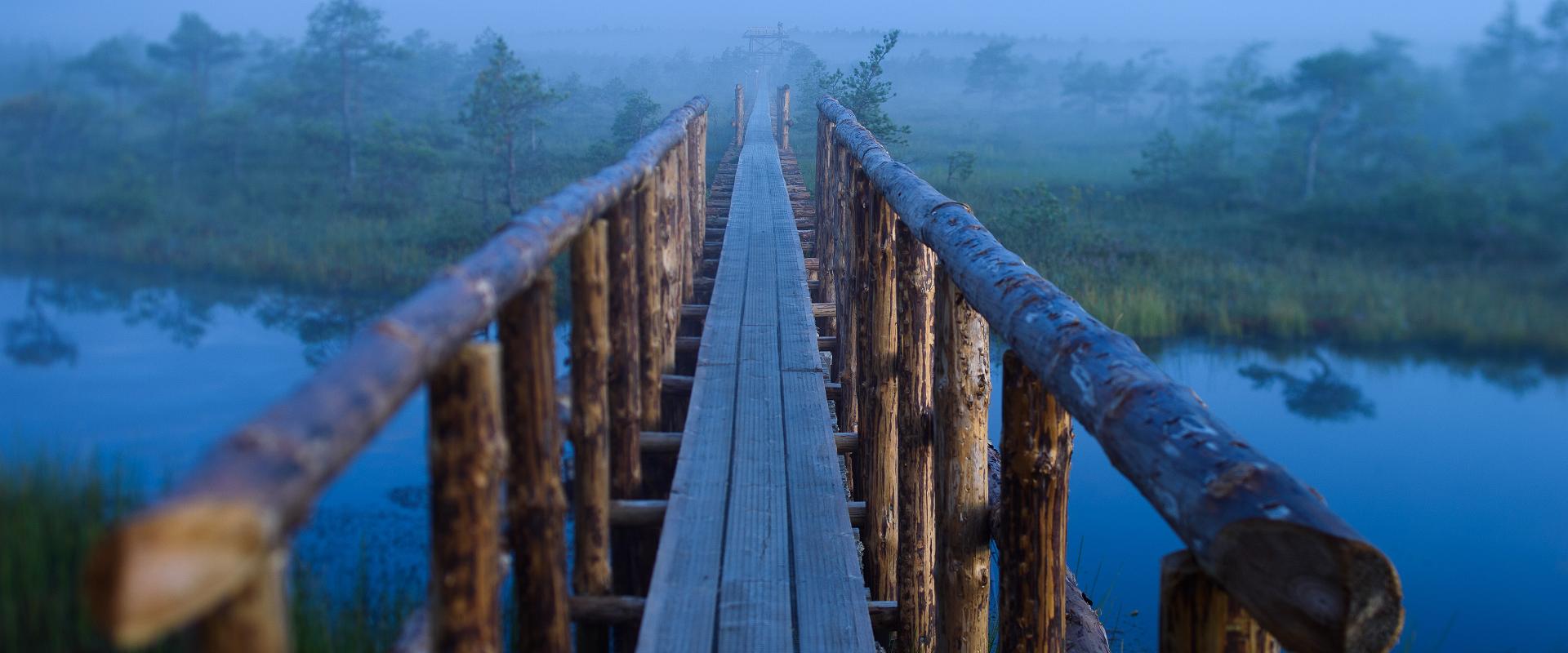 Männikjärve pārgājienu taka