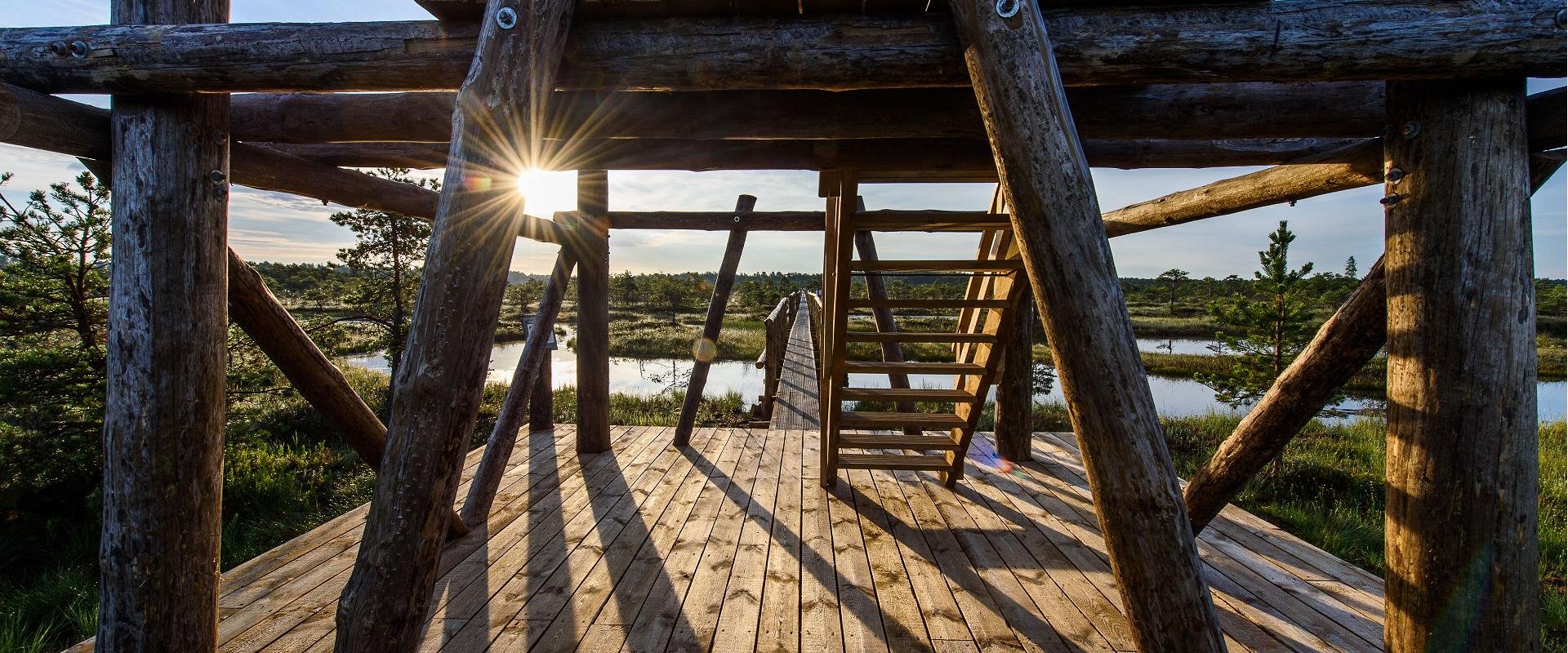 Männikjärve pārgājienu taka