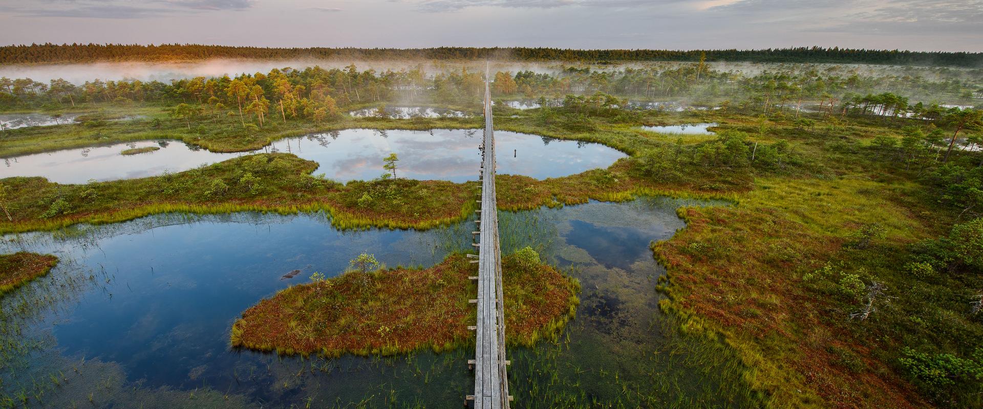 Wanderpfad Männikjärve