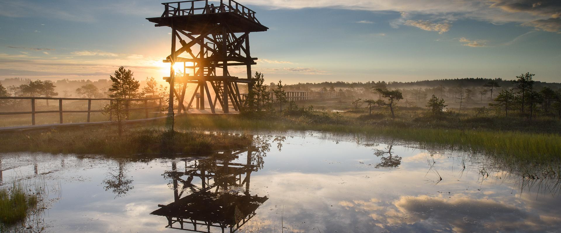 Männikjärve matkarada