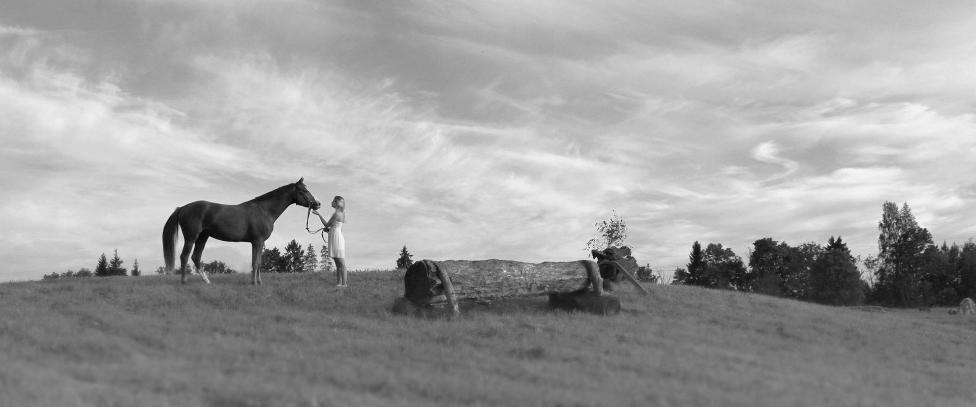 Unistuste fotosessioon koos ponidega ja ponisõit