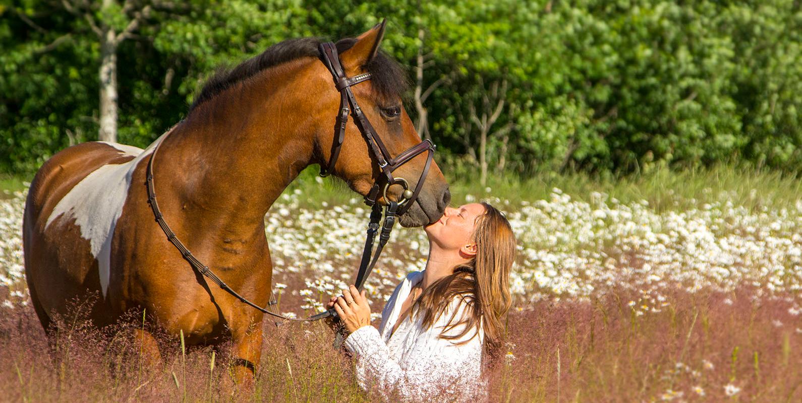 Unistuste fotosessioon koos ponidega ja ponisõit