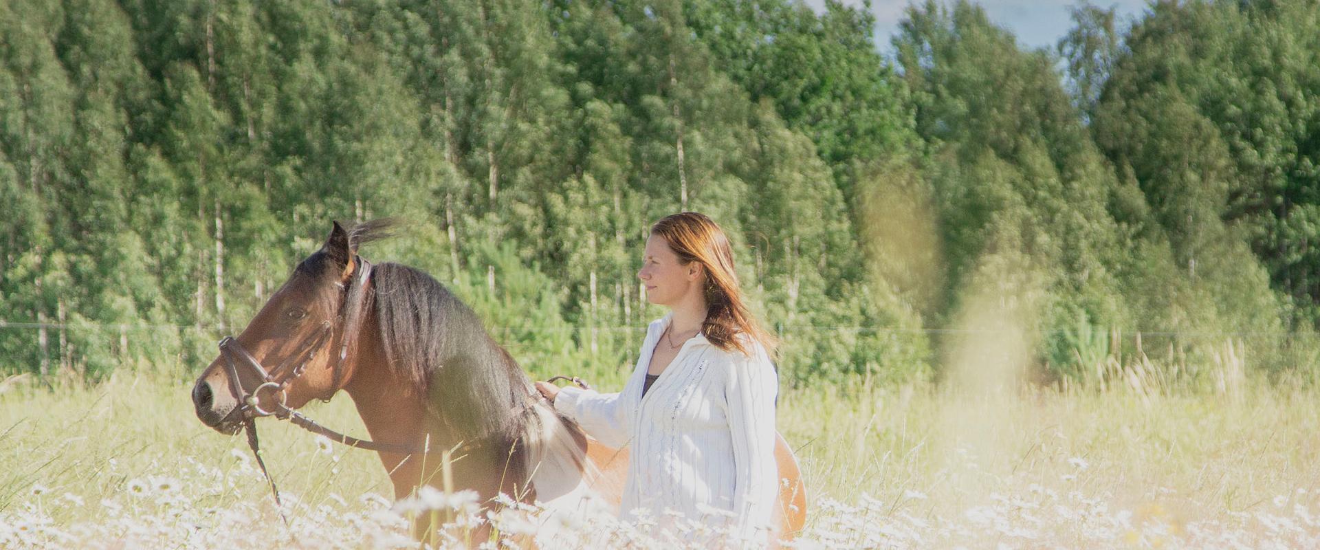 Unistuste fotosessioon koos ponidega ja ponisõit