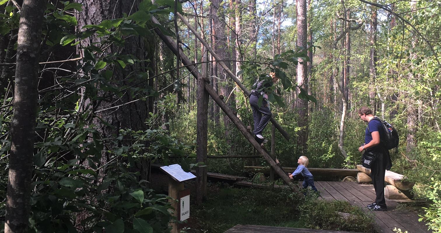 Opastettu päiväluontoretki Lahemaan kansallispuistossa