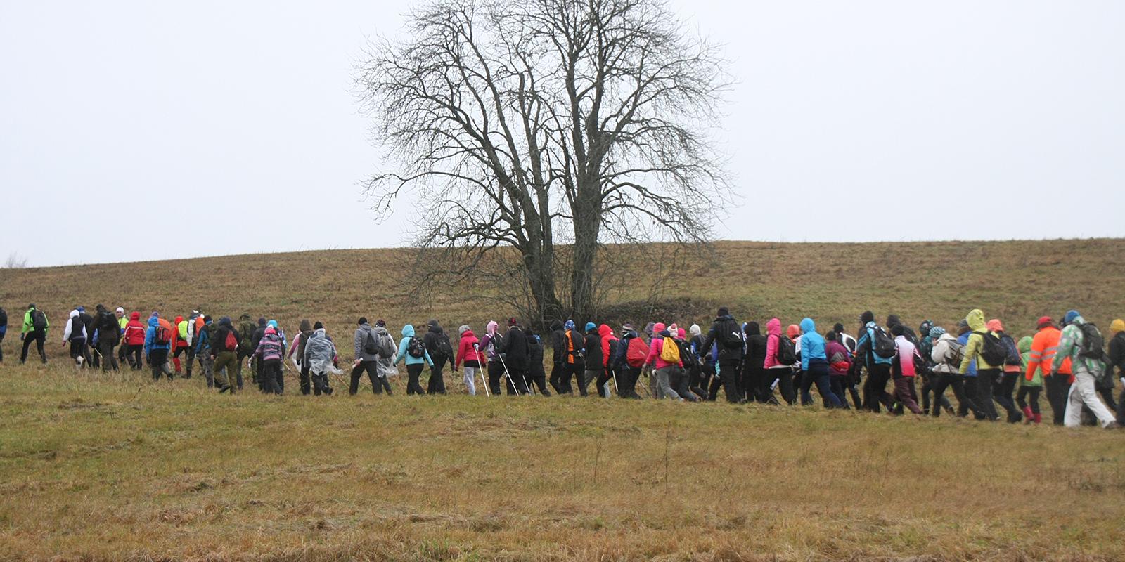 Christmas hike in South-Estonia