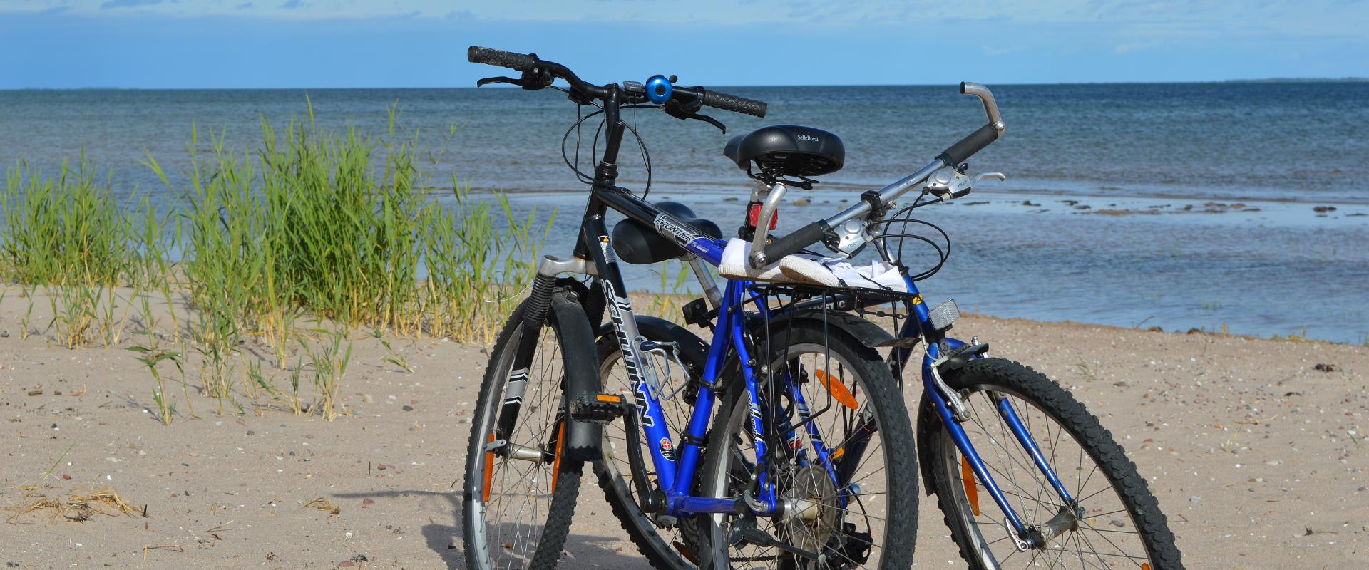 A bicycle is perfect to discover the untouched nature of Saaremaa and the lovely little town of Kuressaare. We welcome you, dear guest, to choose a su