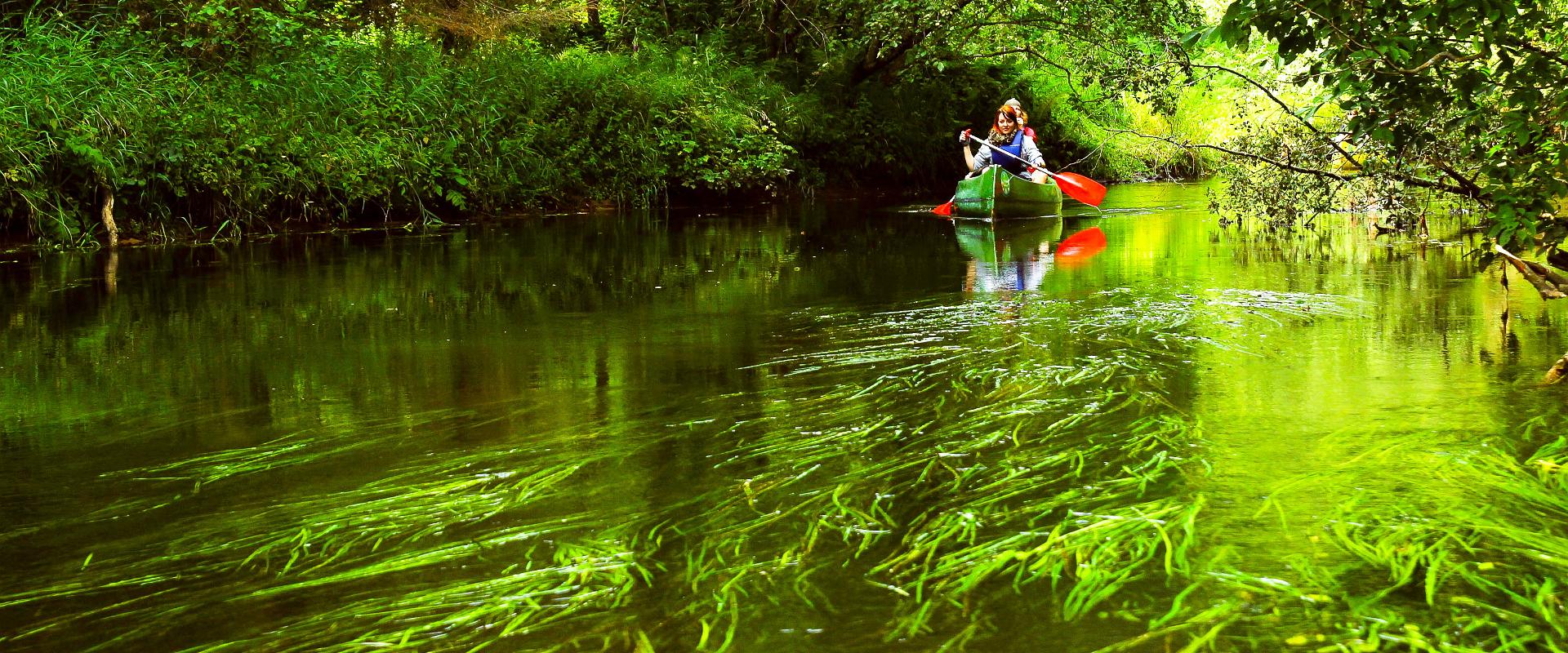 Kanutouren in Taevaskoda auf dem Fluss Ahja