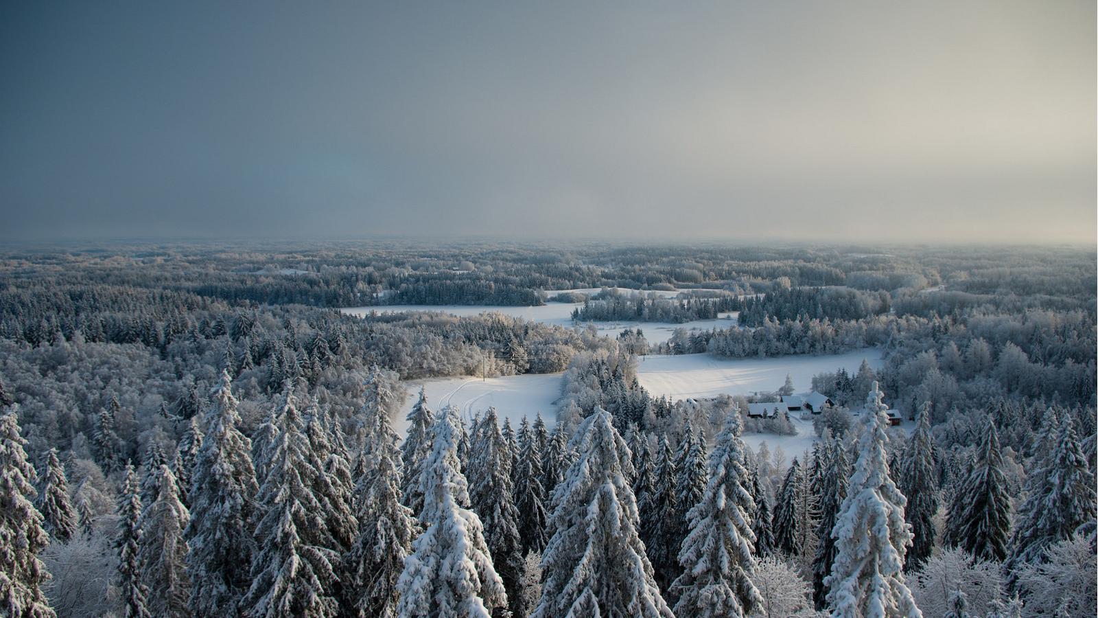 Christmas hike in South-Estonia