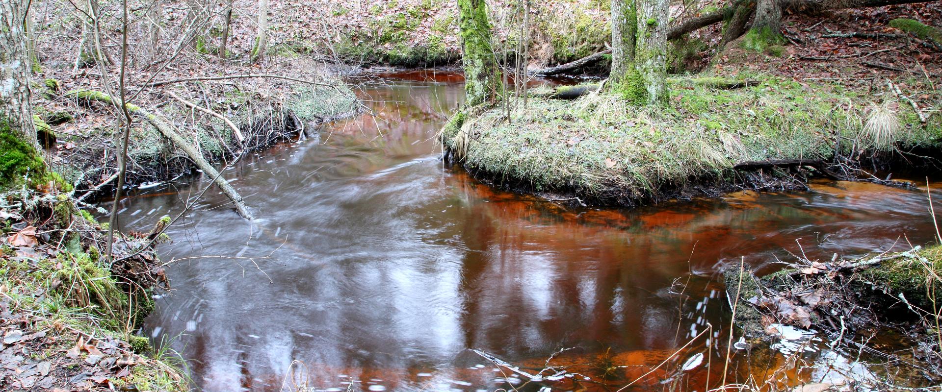 Das Tal des Flusses Vanajõgi