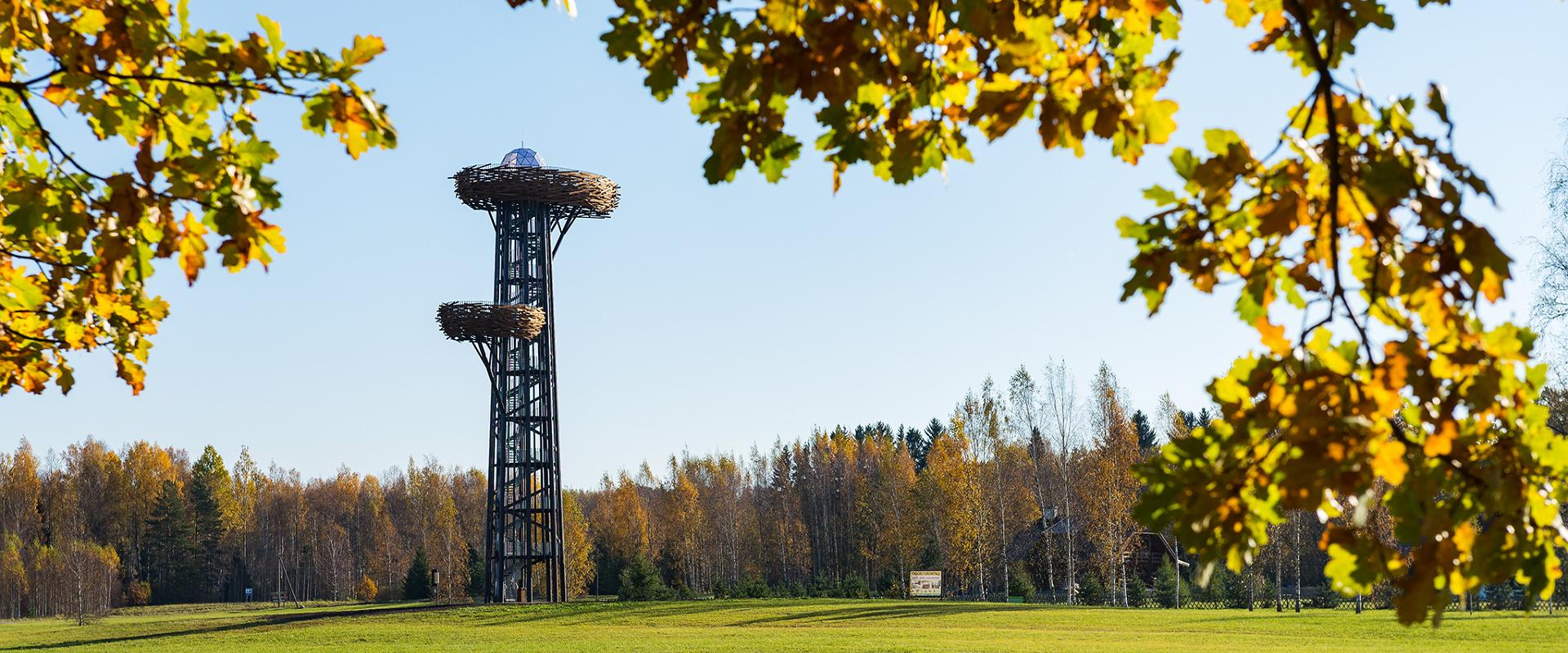 Rõuge watchtower "Pesapuu"