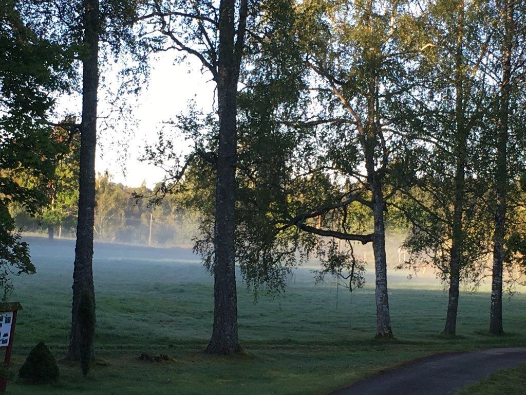 Allikukivi park