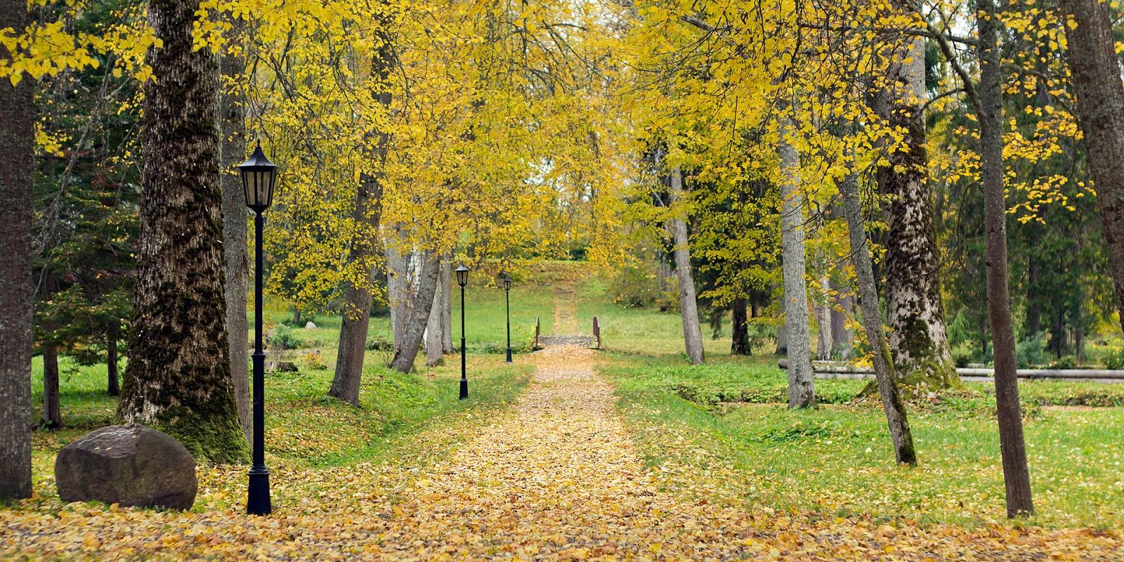 Tihemetsa Voltveti mõisahoone