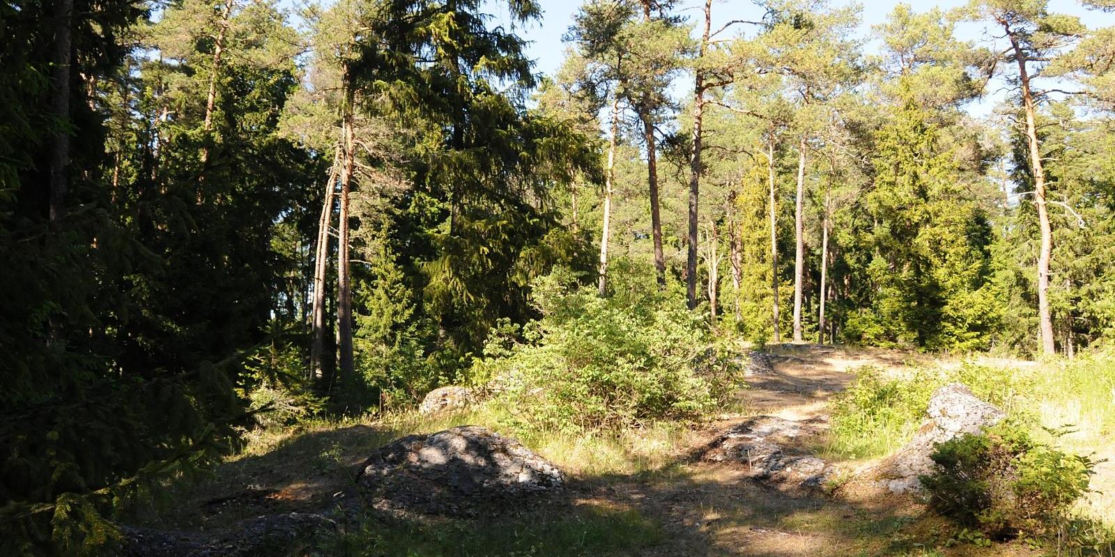 Huitbergi hiking trail and limestone hill