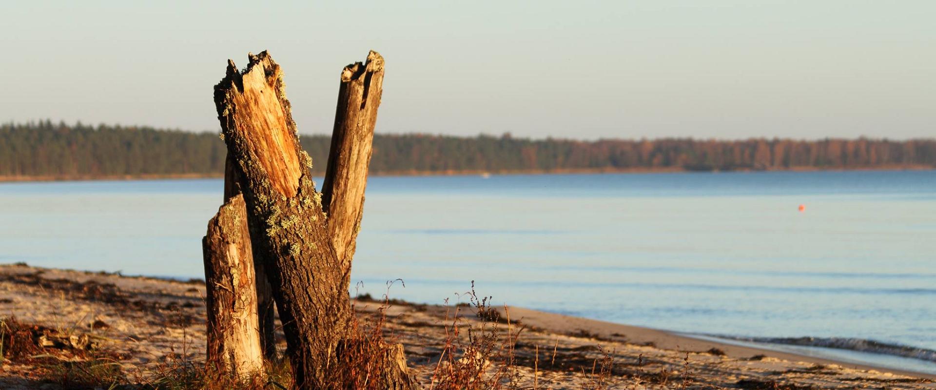 Tõrvanina beach and Camping Site