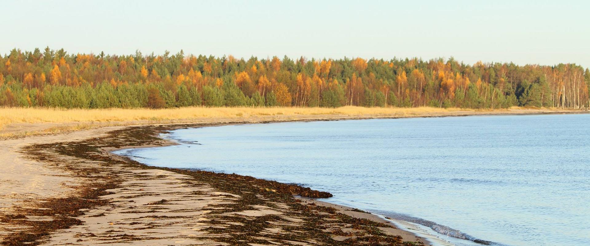 Der Strand und Zeltplatz am Tõrvanina