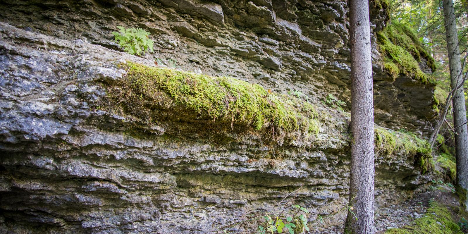 Kallaste cliff in Hiiu County