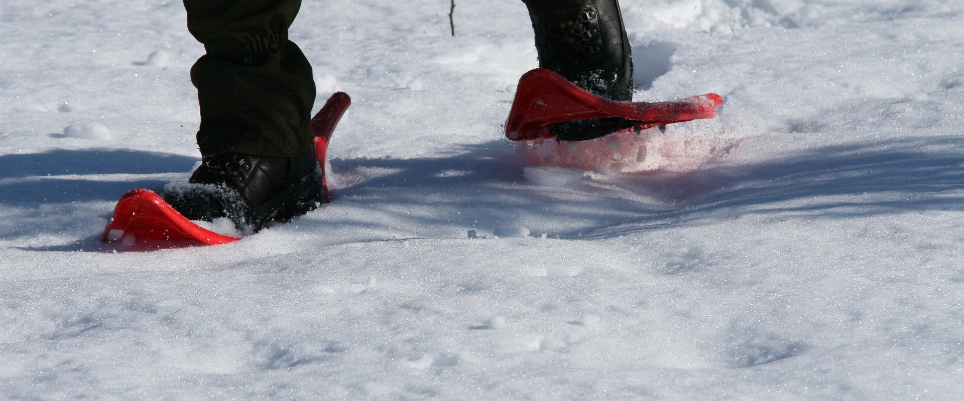 Bogshoeing in Rääma bog by Seikle Vabaks