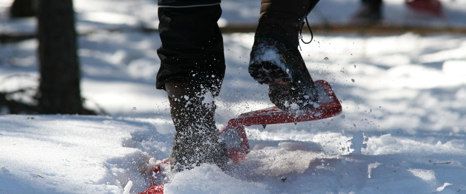"Seikle Vabaks" piedzīvojumiem bagāts pārgājiens ar sniega kurpēm pa Tolkuses purvu