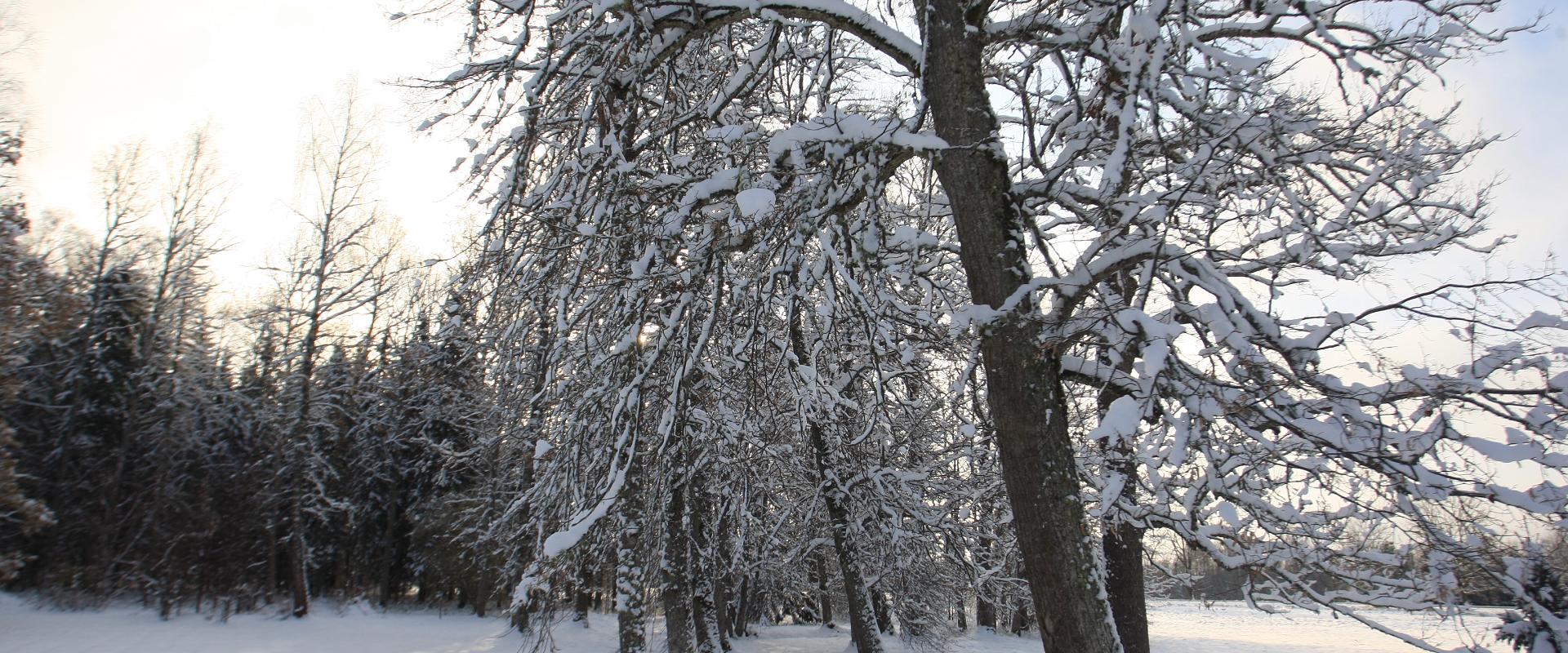 Allikukivi park