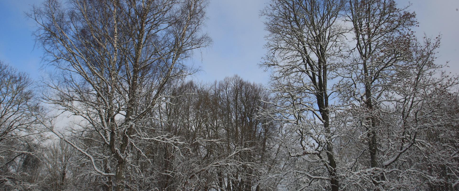 Allikukivi park