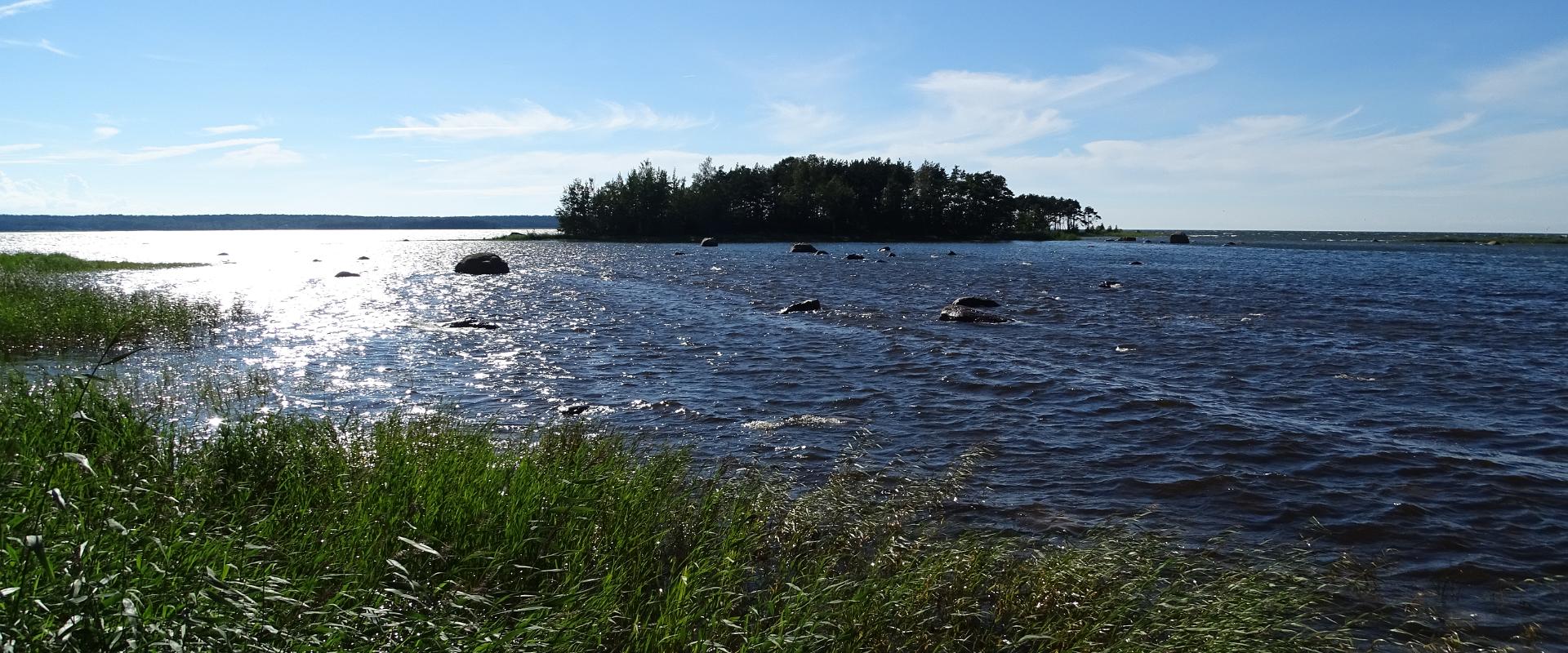 Exploring Pedassaare cape by foot