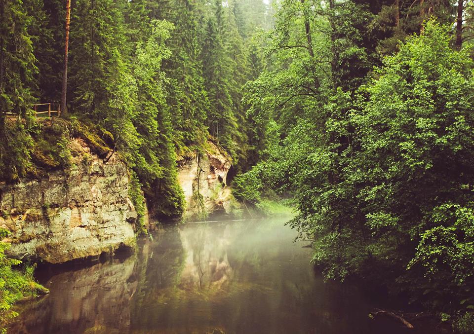 Guided hike in Taevaskoja