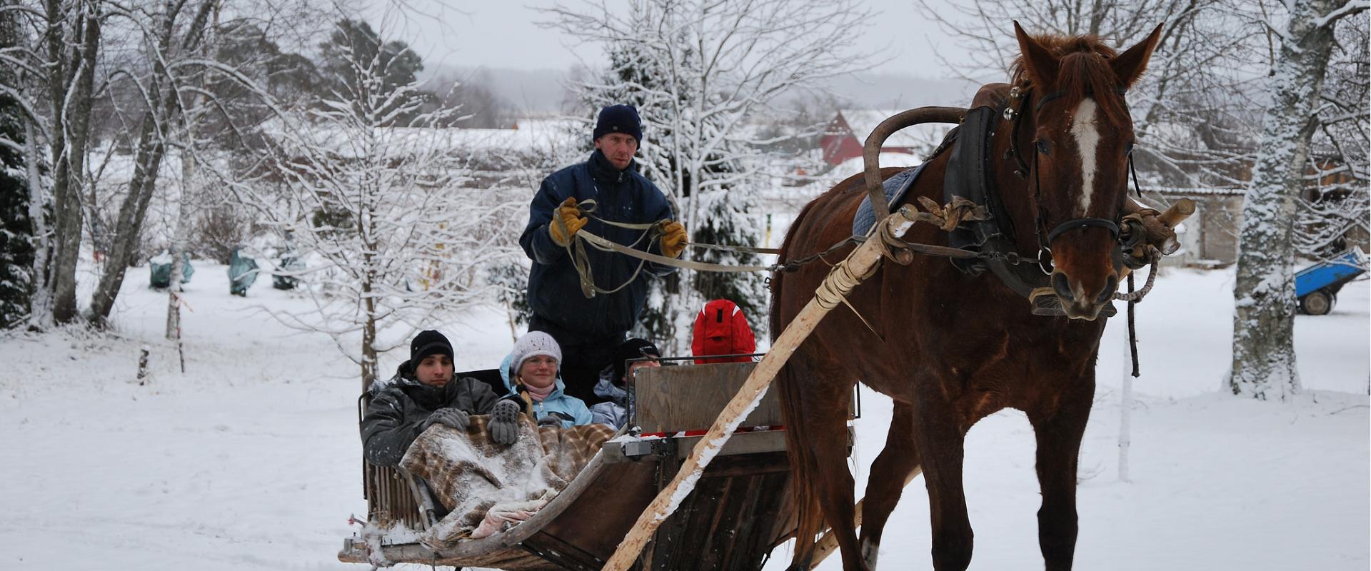 Sleigh ride in the wintery nature at Pärnu County