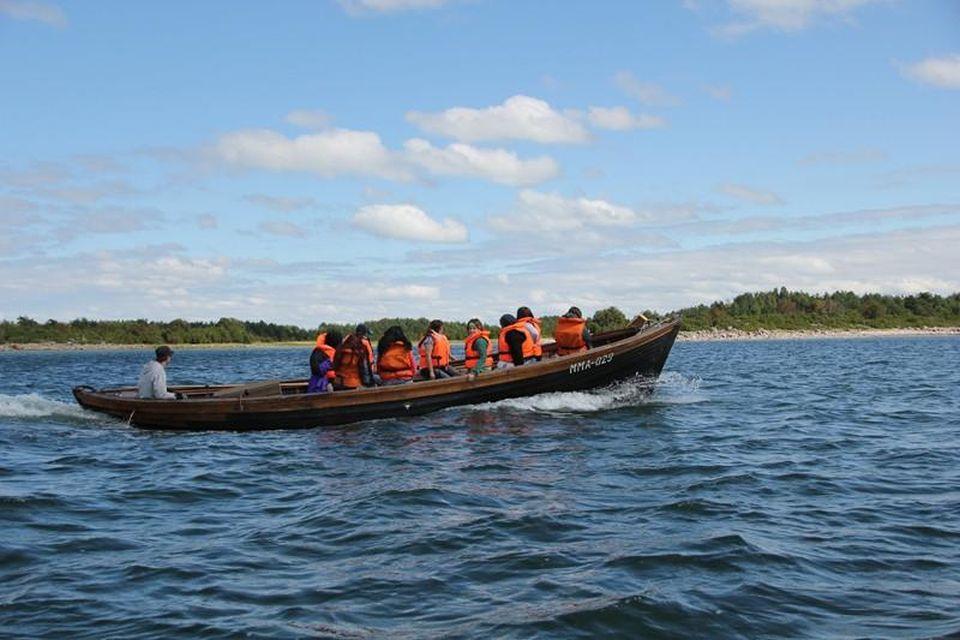 Brown Bears, The Elk Mating Game and Bird Migration