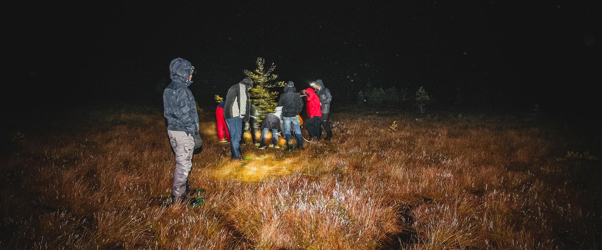 Moorschuhwanderungen im Hochmoor Meenikunno in Südestland