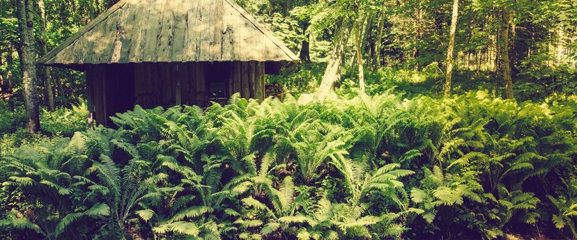 Adami Country Guesthouse and Smoke Sauna Stay