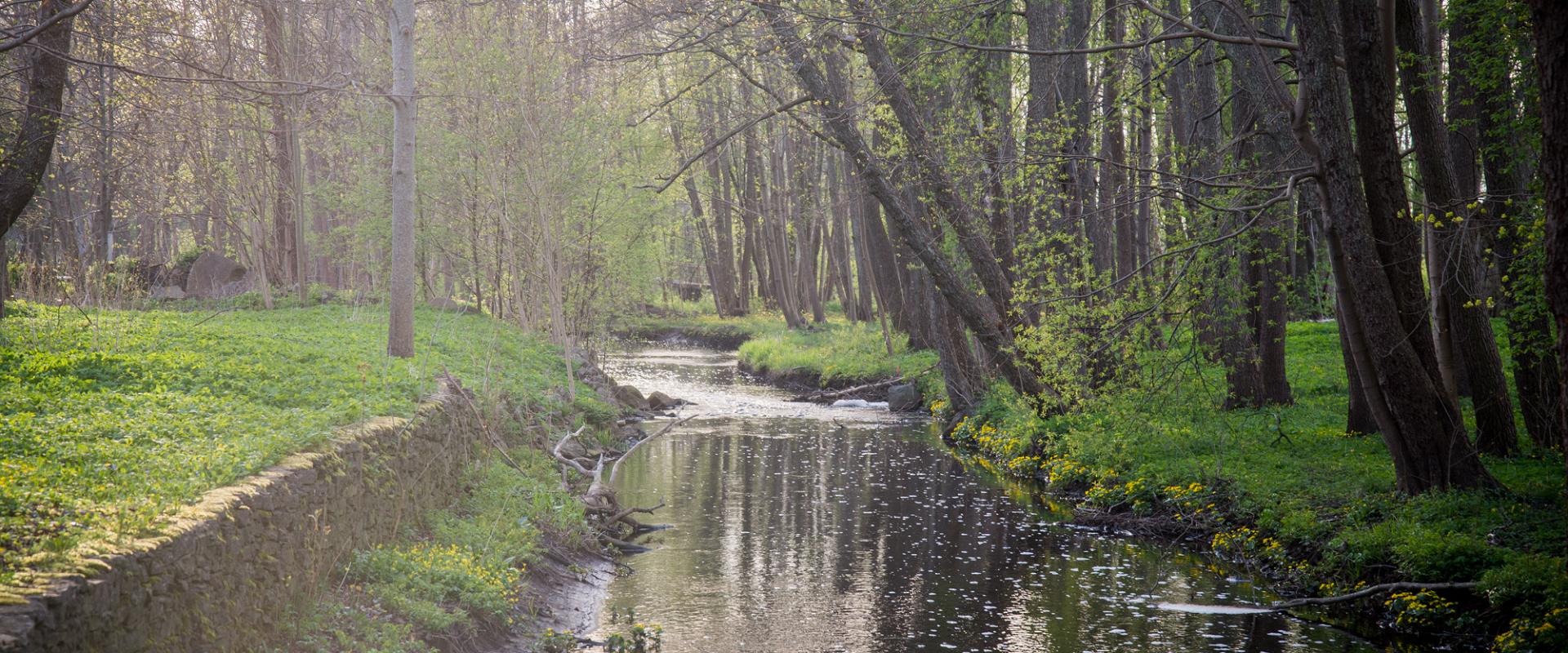 Kärdla City Park