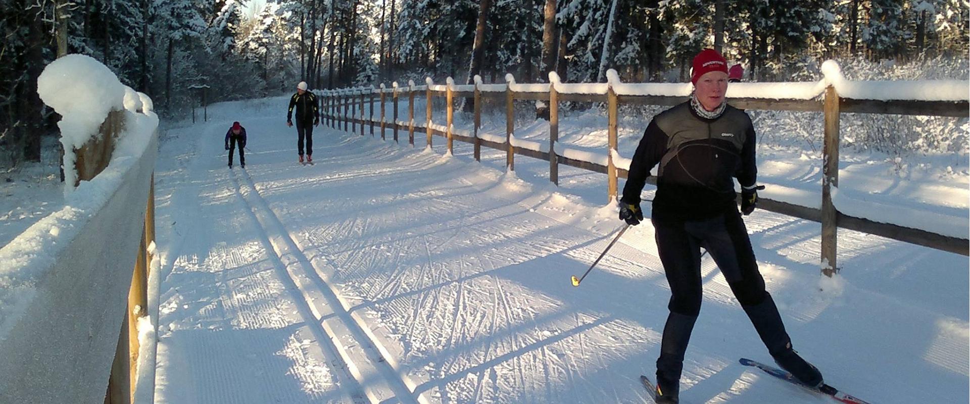 Ski trails at the Palivere Tourism and Recreational Sports Centre