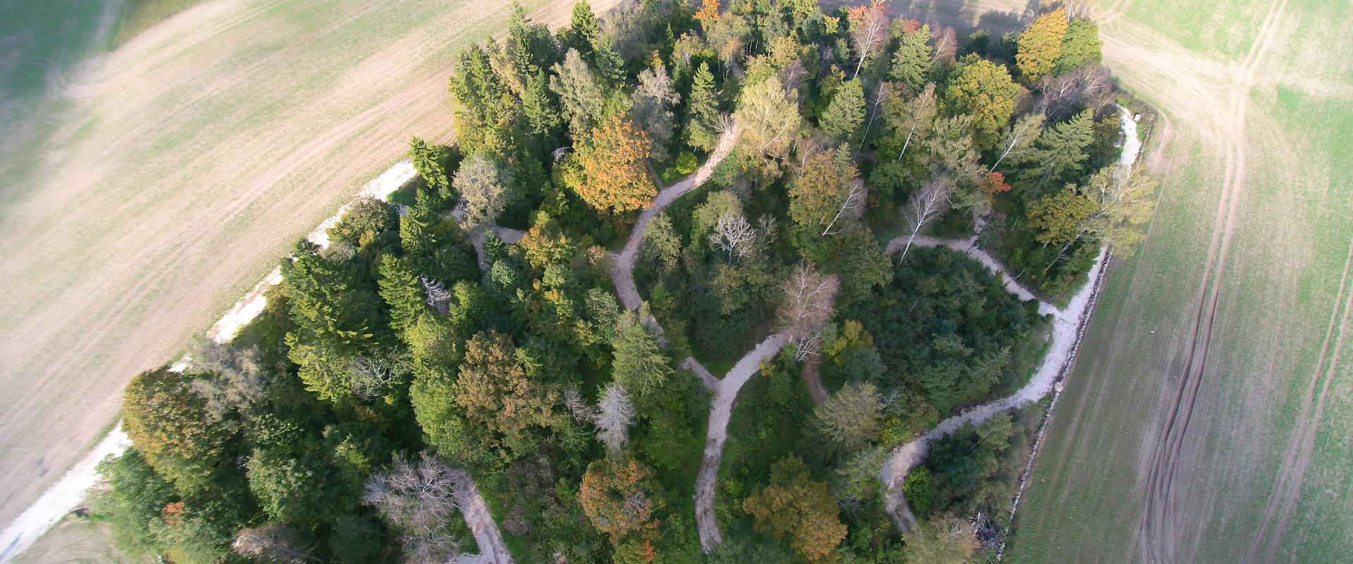 Abivahendiga matk Metsamõisa metsapargis ratastoolirajal